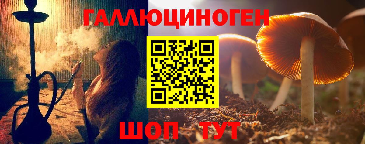 Курчалой  Галлюциногенные грибы мухоморы  Псилоцибиновые грибы ЛСД  Вход с VPN 